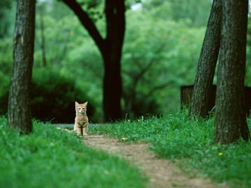 みちのく動物霊園